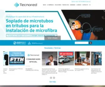 Tecnoredsa.com.ar(Especialistas en construir redes y valor agregado para las telecomunicaciones) Screenshot