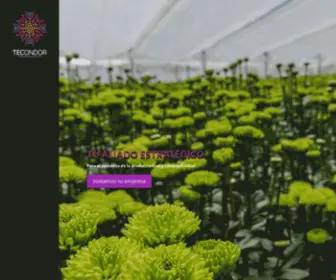 Tecondor.com(Tecnología Creativa) Screenshot