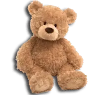 Teddybearfoundation.org Favicon