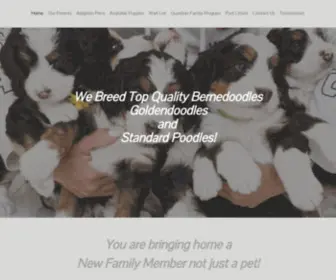 Teddydoodlesnstandardpoodles.com(Teddy Doodle & Standard Poodle in Ontario) Screenshot