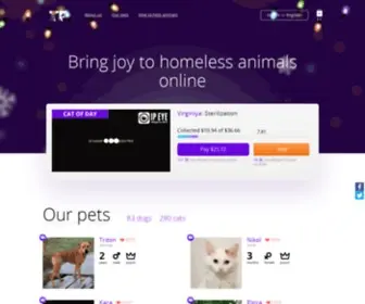 Teddyfood.com(Bring joy to homeless animals online) Screenshot