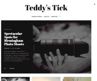Teddystick.com(Teddy's Tick) Screenshot