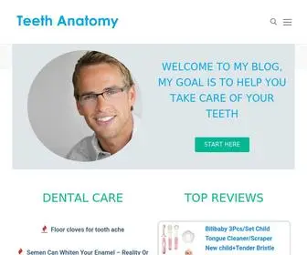 Teethanatomy.com(Teeth Anatomy) Screenshot