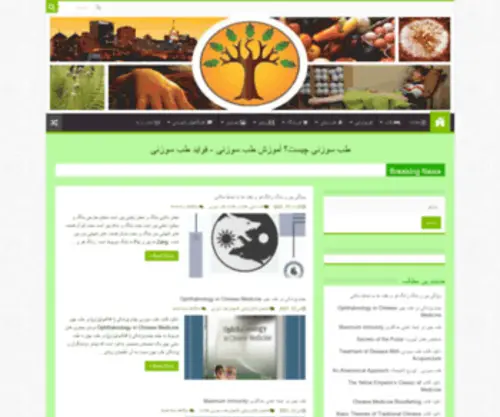 Tehranacupuncture.com(Domain Suspension) Screenshot