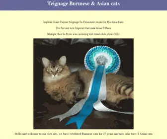 Teignage-Burmese.co.uk(Burmese and Asian cats) Screenshot