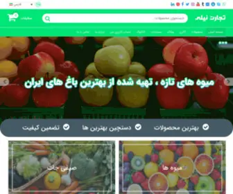 Tejaratnili.com(تجارت نیلی) Screenshot