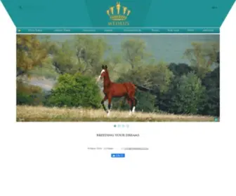 Tekehorse.com(Akhal Teke Stud) Screenshot