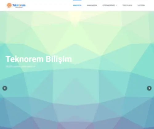 Teknorem.com.tr(Teknorem Bilişim) Screenshot