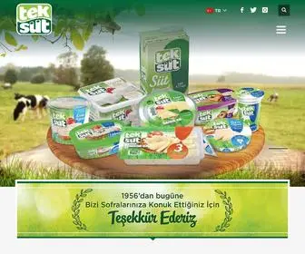 Teksut.com(Teksüt) Screenshot