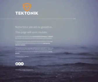 Tektonik.com(Agence de marketing web multidisciplinaire) Screenshot