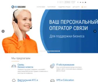 Telediscount.ru(Оптимизация бизнес) Screenshot