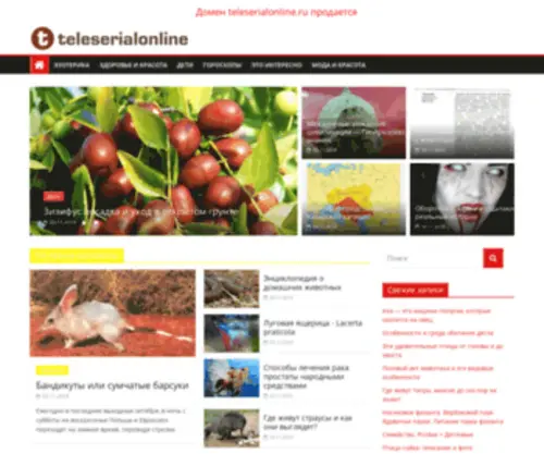 Teleserialonline.ru(Teleserialonline) Screenshot