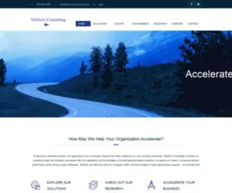 TelesolvConsulting.com(TeleSolv Consulting) Screenshot