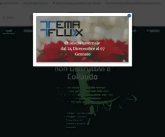 Temaflux.com(TemaFlux srl) Screenshot