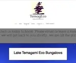 Temageco.com Screenshot
