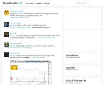 Temelanaliz.net(Borsa) Screenshot