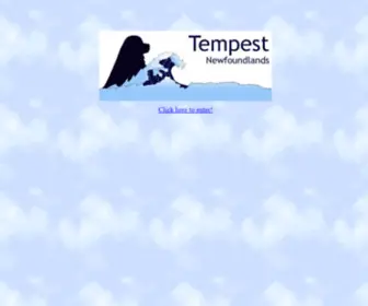 Tempestnewfoundlands.com(Tempest Newfoundlands) Screenshot