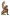 Templeofthesun.com.au Favicon