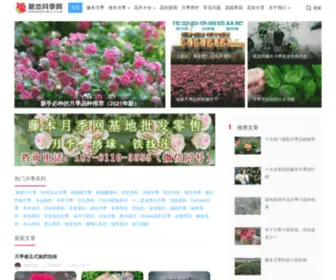 Tengbenyueji.com(藤本月季网) Screenshot