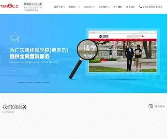 Tenggexinxi.com(深圳腾鸽信息) Screenshot