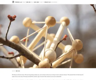 Tenseg.net(Tenseg LLC) Screenshot