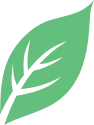 Teonika.com Logo