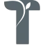 Teostek.com Favicon