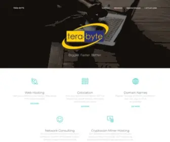 Tera-Byte.com(Tera-Byte Dot Com Inc) Screenshot