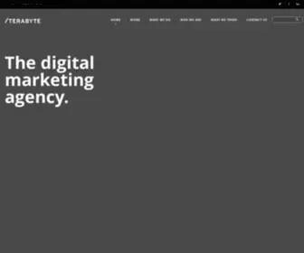 Terabyte.co.nz(Digital Marketing Agency) Screenshot
