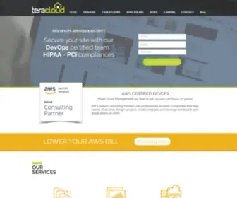 Teracloud.io(Cloud Computing Managed Services) Screenshot