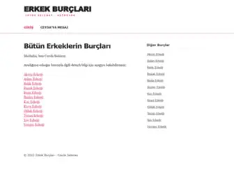 Terazierkegi.com(Erkek Burçları Sitesi) Screenshot