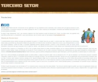 Terceiro-Setor.info(Terceiro Setor) Screenshot