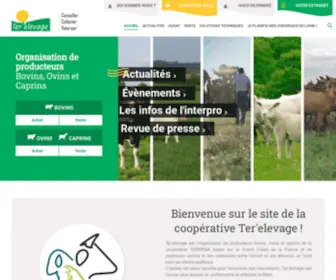 Terelevage.fr(Organisation de producteurs bovins) Screenshot