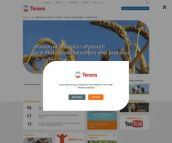 Tereos-Starchsweeteners.com(Company) Screenshot