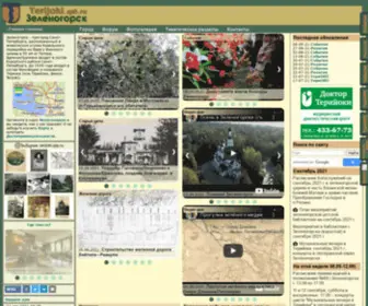 Terijoki.spb.ru(Зеленогорск) Screenshot