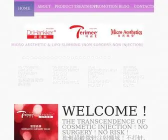 Terimeeaesthetics.com(MICRO AESTHETIC & LIPO SLIMMING (NON SURGERY) Screenshot