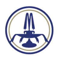 Termedicastelsanpietro.it Favicon