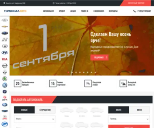 Terminal-Auto.com(Терминал Авто) Screenshot