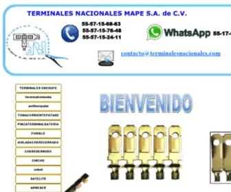 Terminalesnacionales.com(TERMINALESNACIONALESMAPE) Screenshot