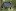 Terminologiemedicale.com Favicon