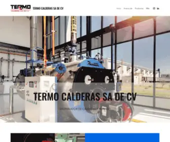 Termocalderas.mx(TERMO CALDERAS SA DE CV) Screenshot