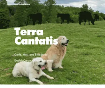 Terracantatis.com(Terra Cantatis Ranch Golden Retriever) Screenshot