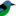 Terradospassaros.com Favicon