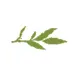 Terrainevents.com Favicon
