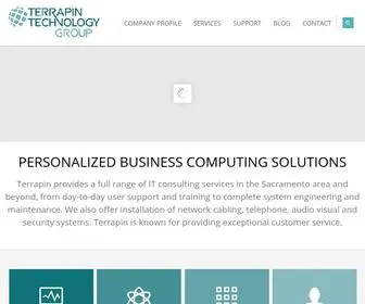 Terrapintechnology.com(Terrapin Technology Group) Screenshot