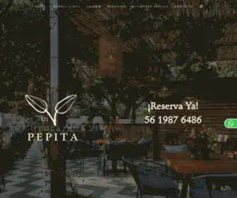 Terrazapepita.com(Terraza Pepita) Screenshot