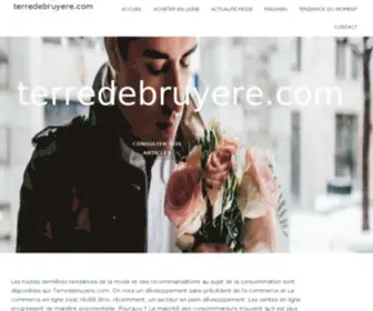 Terredebruyere.com(Maroquinerie, cuir, sacs, sellerie) Screenshot