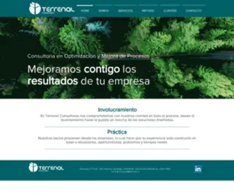 Terrenalconsultores.cl(Consultoria) Screenshot