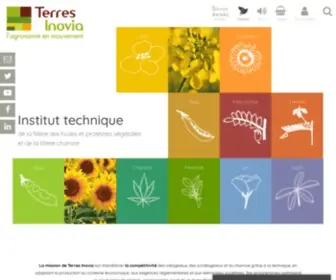 Terresinovia.fr(Terres Inovia) Screenshot