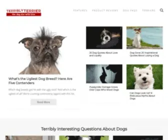 Terriblyterrier.com(Terribly Terrier) Screenshot